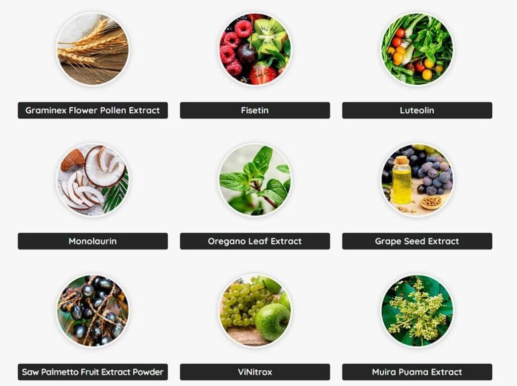 flowforce max ingredients